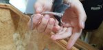 20181006_171448.jpg