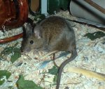 DSC00109.jpg