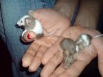 DSC01075.jpg
