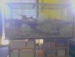 080510_153539.jpg