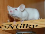 Milky one.jpg