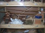 100_1154.jpg
