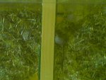 080602_104910.jpg