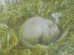 080602_170604.jpg