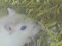 080602_170709.jpg