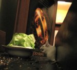 Bild 151.jpg
