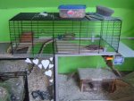 DSC06254.jpg