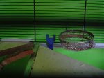 DSC06257.jpg