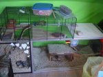 DSC06261.jpg