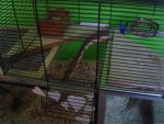 DSC06262.jpg