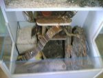 new pics 030.jpg