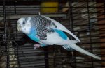 100_3396.jpg