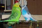 100_3405.jpg