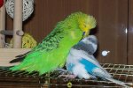 100_3411.jpg