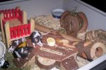 000_0792.jpg