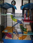 PICT0008.jpg