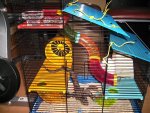 PICT0009.jpg