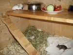 mäuse-210808 022.jpg