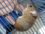 dsc07607.jpg