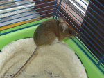 dsc07608.jpg
