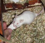 Bild 295.jpg