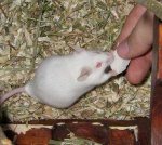 Bild 296.jpg