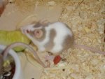 DSC00019.JPG