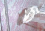 DSC00015.JPG