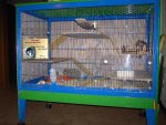 PICT0422.jpg