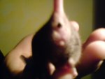 DSC00226.JPG