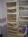 100_2251.jpg