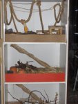 Mäuse stall 001.jpg
