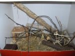 Mäuse stall 004.jpg