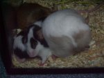 PICT0443.jpg