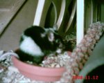 IMG_0237.jpg