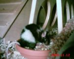 IMG_0236.jpg