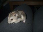 DSCF1178.jpg