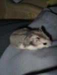 DSCF1180.jpg