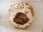 Futterkugel.jpg Futterkugel.jpg