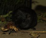 DSC06134.jpg