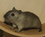 DSC06178.jpg
