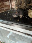 rps20190607_084444.jpg