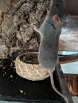 rps20190607_084523.jpg