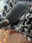 rps20190704_092618.jpg