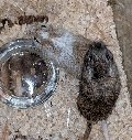 IMG_20190714_101432.jpg