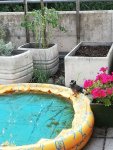 IMG_20190802_180138_compress87.jpg