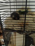 rps20190903_154554.jpg