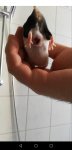 Screenshot_20191102_234204_com.facebook.orca.jpg