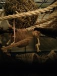 PicsArt_12-22-10.55.19.jpg