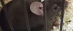 20200606_113322.png